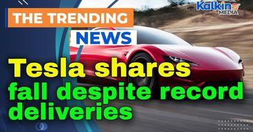 Tesla shares fall despite record deliveries
