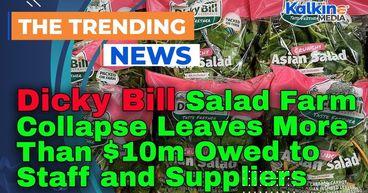 Dicky Bill Salad Farm Collapse Leaves More Than $10m Owed to Staff and Suppliers
