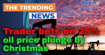 Trader bets on 25% oil price plunge by Christmas amid supply glut fears
