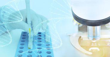 Imugene (ASX:IMU) ticks off key clinical milestones in June 2022 quarter