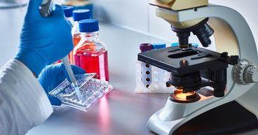LTR Pharma’s Dual US Path Sparks Market Attention