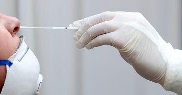 Healthcare Stocks Enter a Catalyst-Rich Phase as Sector Eyes Fresh Momentum