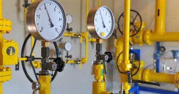 Is PEG's Dividend Yield Supporting Shareholder Value Amid Market Volatility?