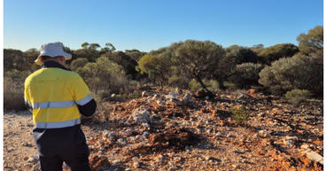 Platina Resources (ASX:PGM) Expands Laverton Footprint with Mt McKenna Gold Project Acquisition