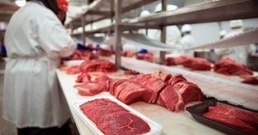 FTSE 350 Reflects UK Food Production Participation with Cranswick