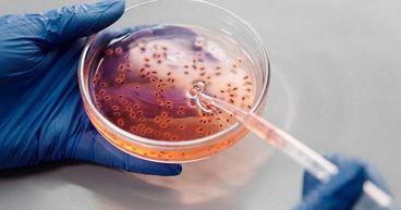 Find out why these biotechnology firms surpassed market gains