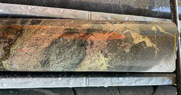 Raiden Resources (ASX:RDN|DAX:YM4) intersects wide & shallow Ni-Cu sulphide mineralisation at Mt Sholl, shares up ~47%