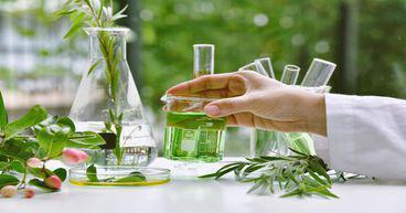 What’s up with BWX’s (ASX:BWX) shares lately?