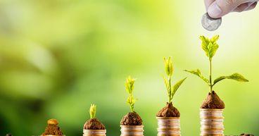 Why Are UK AIM Cannabis Shares Back Under Market Focus?