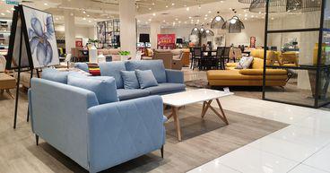 Online retailer Temple & Webster (ASX: TPW) gains on buyback announcement