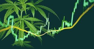 Is a Resurgence on the Horizon for ASX Cannabis Shares?