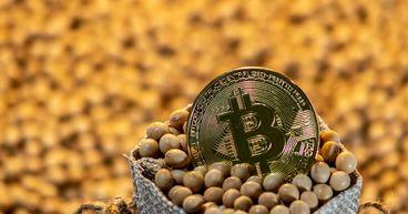 Is the Bullish Momentum In Soybeans Already Losing Strength?