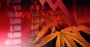 UK Cannabis Stocks: Who Remains After the Market Reset?