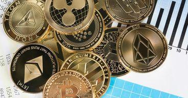 How Does Financial Literacy Influence Cryptocurrency Ownership?