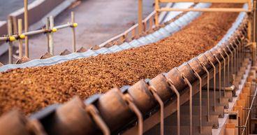 Glencore Eyes Alumbrera Restart as FTSE 100 Mining Strategy Shifts?