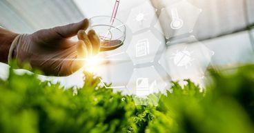 MustGrow's East Coast Expansion Under Review After TerraSante Approval in Florida