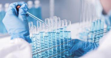 Johnson & Johnson (NYSE:JNJ) Shares Ease on Sector Sentiment Shift