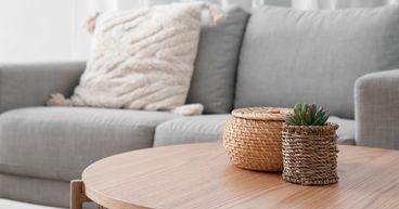 Dunelm Group Insights: Key Trends in the FTSE 350