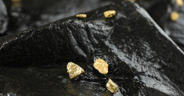 Evolution Mining (ASX:EVN) Shares Track ASX 300 Amid Gold Sector