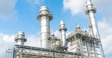 How Is Doman Navigating Shifts In The Building Sector?