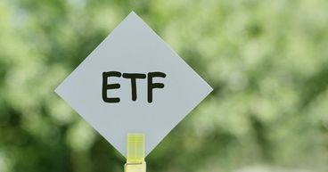 Bitcoin and Ethereum ETFs Lead the Charge in 2024 with Significant Inflows and Dominance