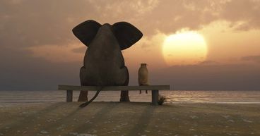 2 Small cap Financial Stocks - Kina Securities (ASX: KSL) & CML Group (ASX: CGR)