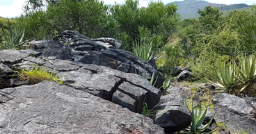Vanadium Resources (ASX: VR8, DAX: TR3) increases ownership interest in Steelpoortdrift to 86.49%