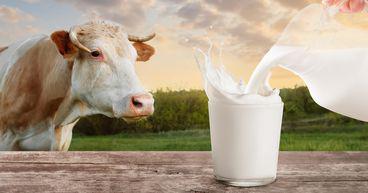 Fonterra (NZX:FCG) to sell its Brazil JV for NZ$210 million