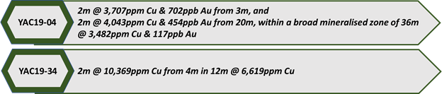 Data Source: ASX Announcement 11 March 2020