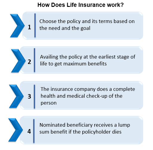 How Does Life Insurance Work? The Process Overview