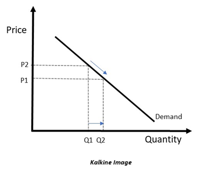 Law of Demand Definition & Meaning in Stock Market with Example