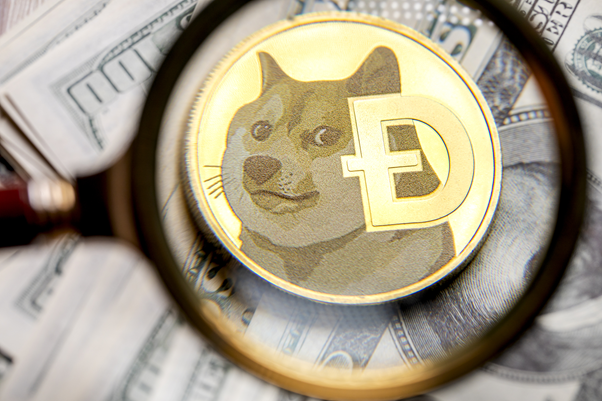 Dogecoin price now in naira