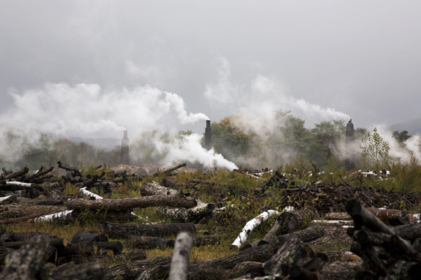 Deforestation & environmental pollution