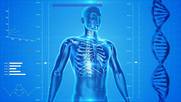 Top healthcare stocks: HALO, ADPT, TGTX, PINC, BS