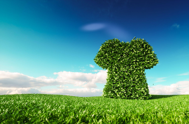 Eco-friendly sustainable fair trade fashion concept
