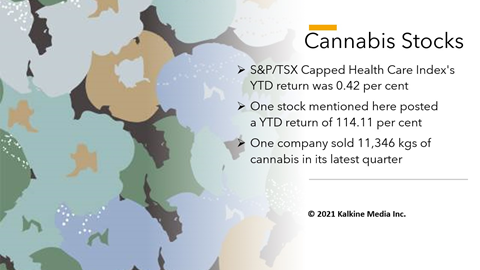 The highest YTD return among the cannabis stocks was 114.11 per cent
