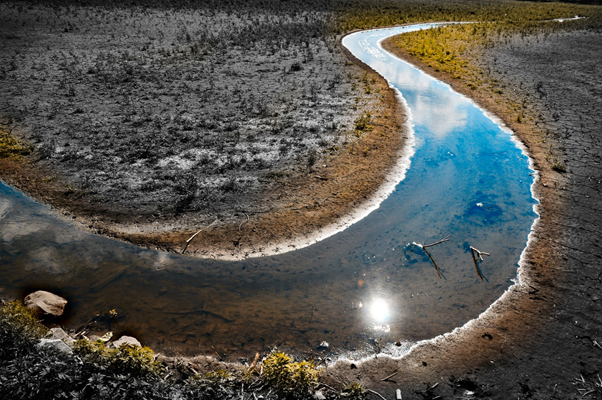 A river drying up due to climate change