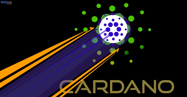 A section of Britons said Cardano was a form of cheese or alcohol