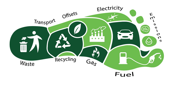 Renewable Energy