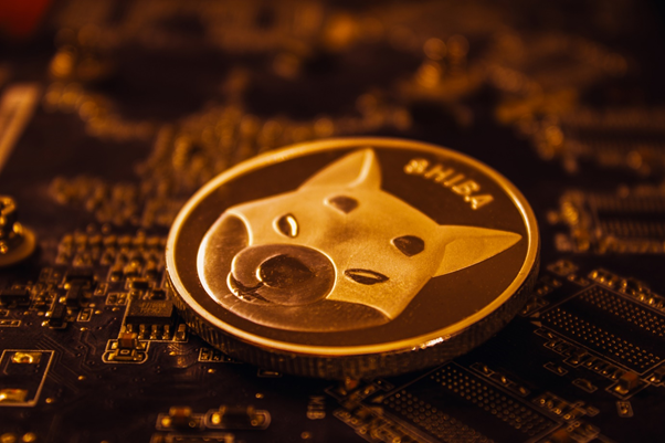 shiba inu crypto, cryptocurrency, shiba inu coin, shiba inu price