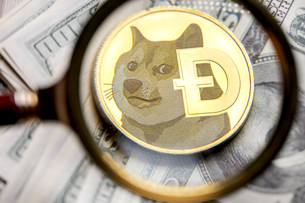 Bitcoin's rising, Cardano Dogecoin price drop 