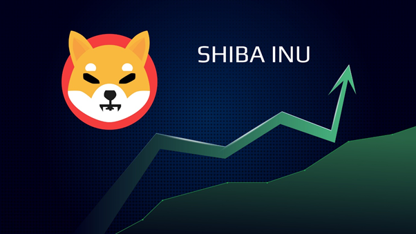shiba inu coin price aud, shiba inu for sale, shiba inu coin news, shiba inu coin price prediction, shiba inu become the 13th largest crypto, next cryptocurrency to explode 2021