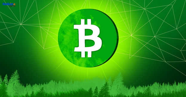 Bitcoin Cash, Bitcoin cryptocurrency