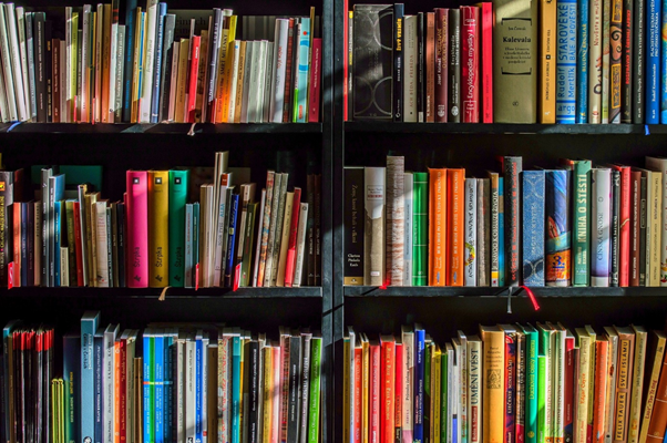 Book shelves filled with books