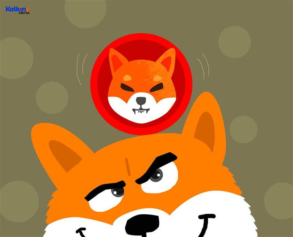 Cryptocurrency- Floki Inu
