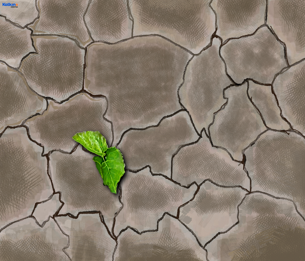 Climate change