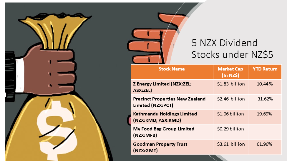 5 NZX Dividend Stocks and their details