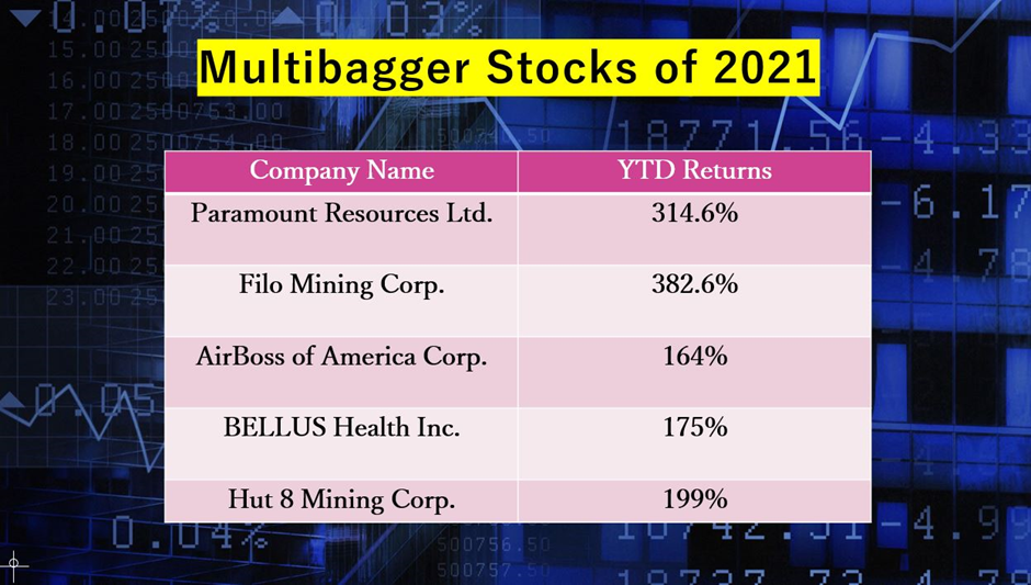  What are some multibagger stocks in Canada?