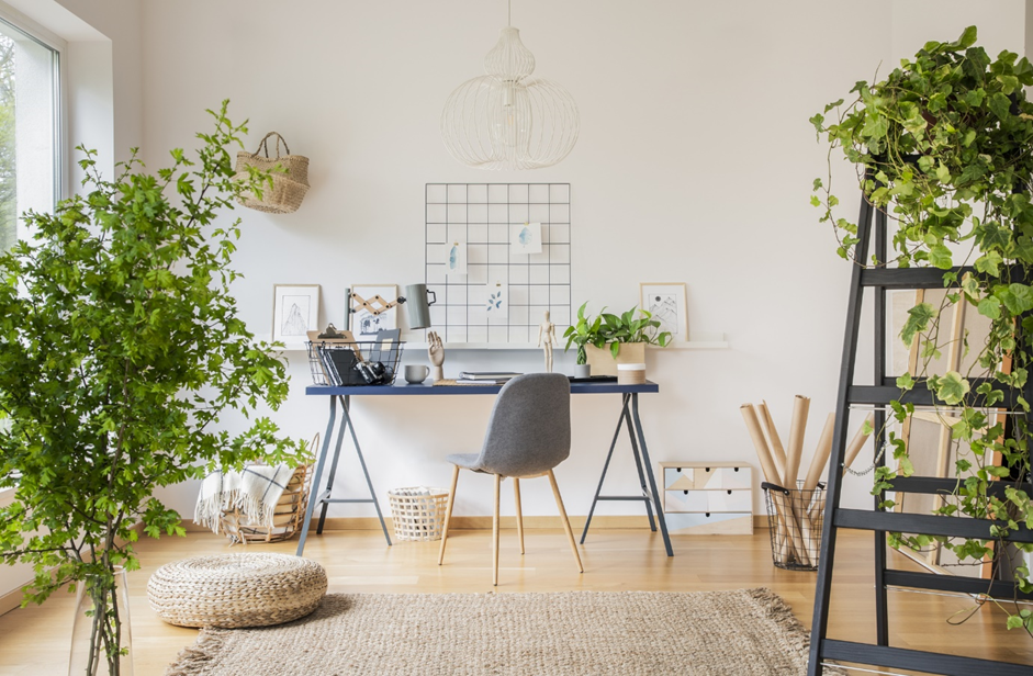 Work from home setup for 2022