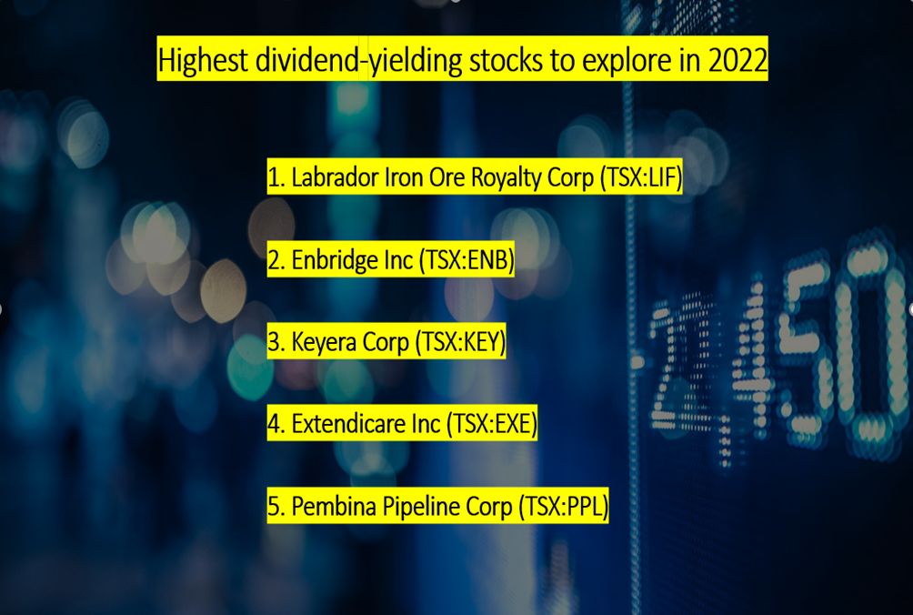 Highest dividend-yielding stocks to explore in 2022